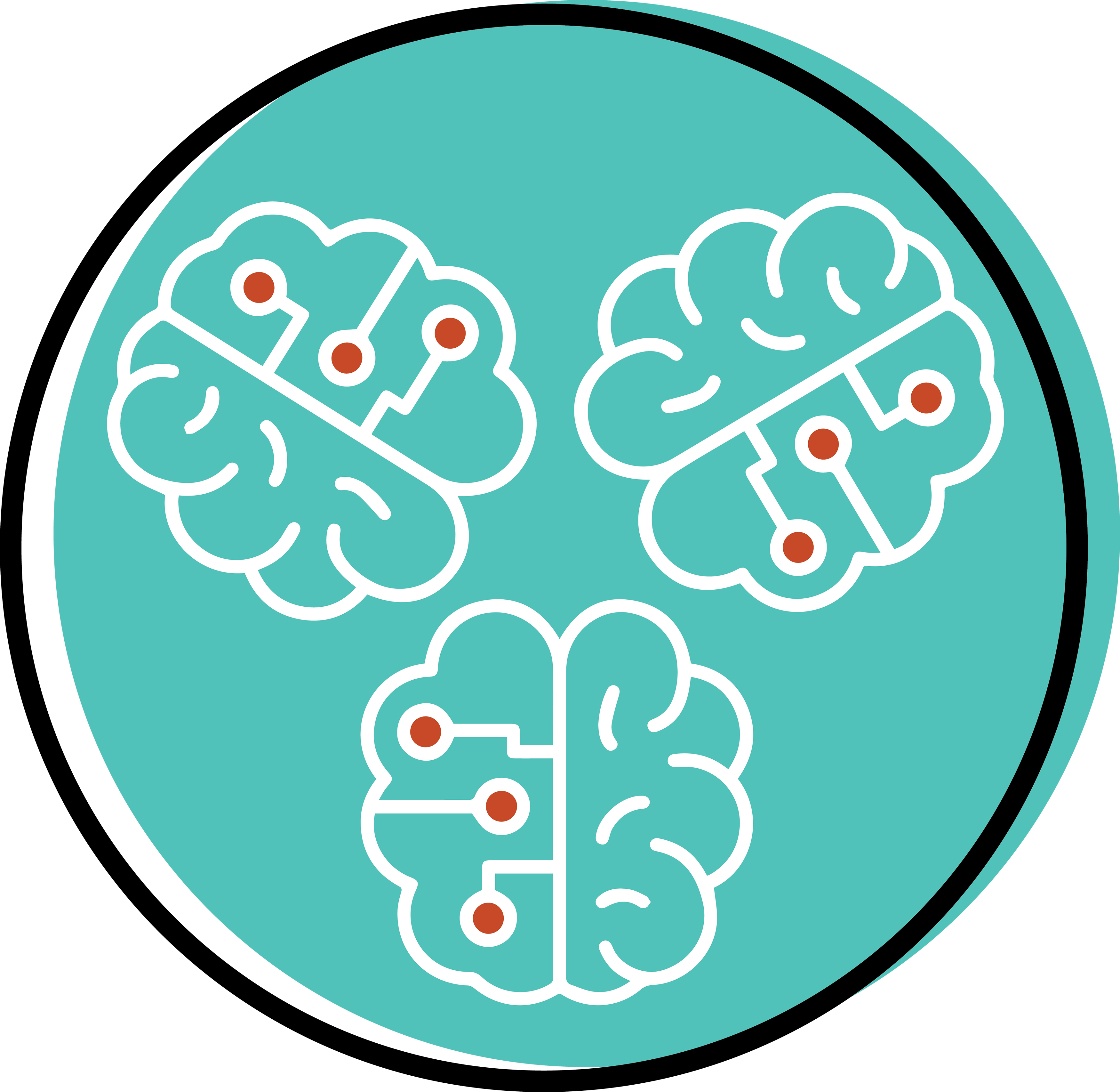 illustrated icon of three brains with circuits