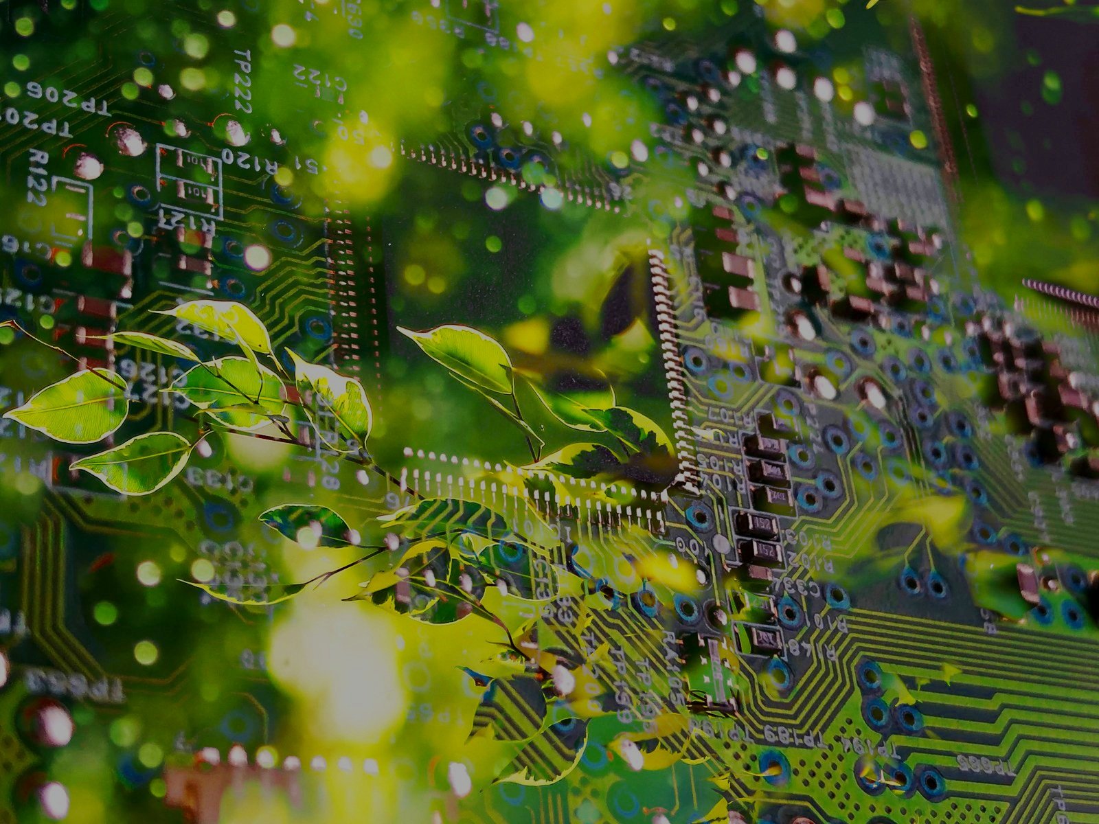 imagery of cpu superimposed over leaves