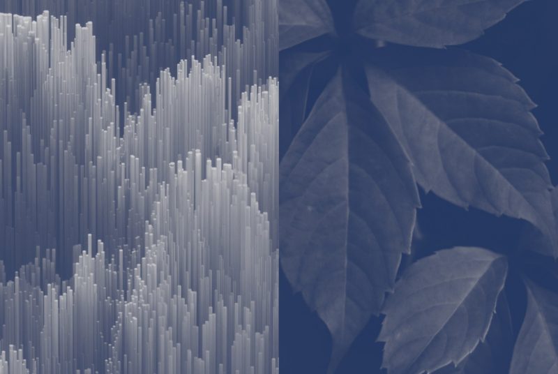 split image of leaves and data