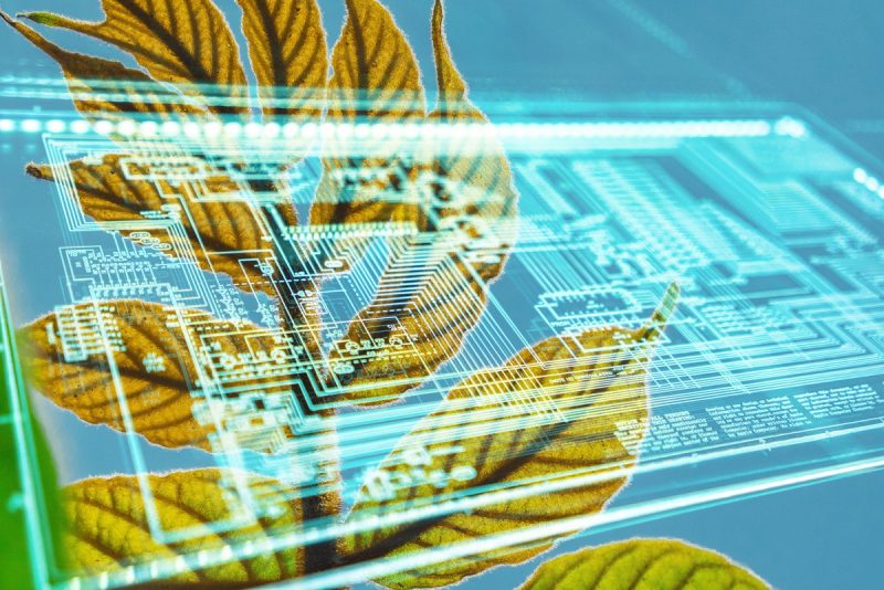 closeup of electronic blueprint superimposed over yellow leaves