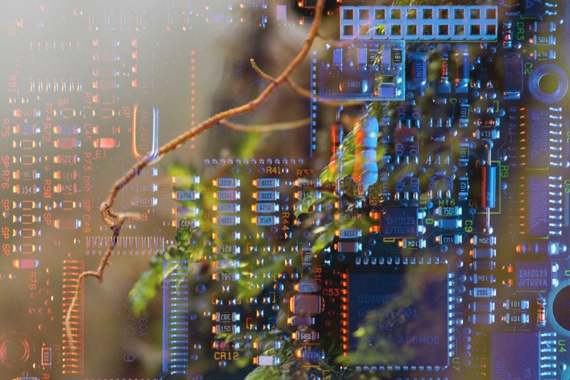 imagery of circuit board superimposed over leaves